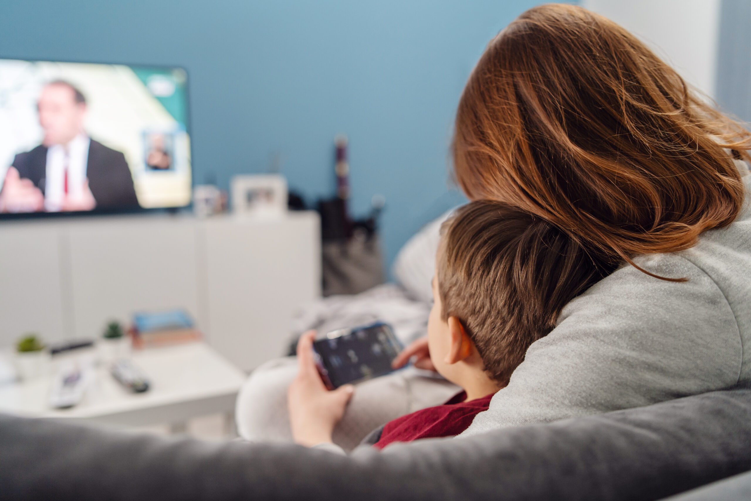 Smart Home Systems